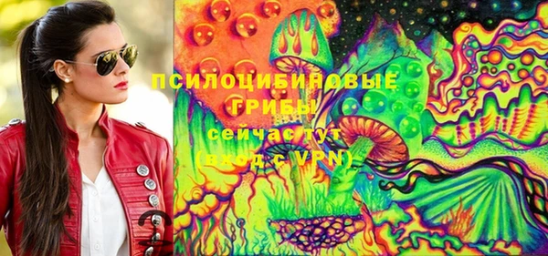 МДПВ Абинск