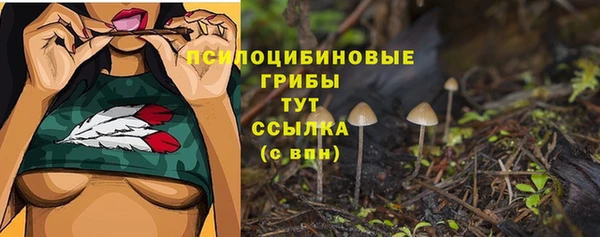 твердый Абдулино